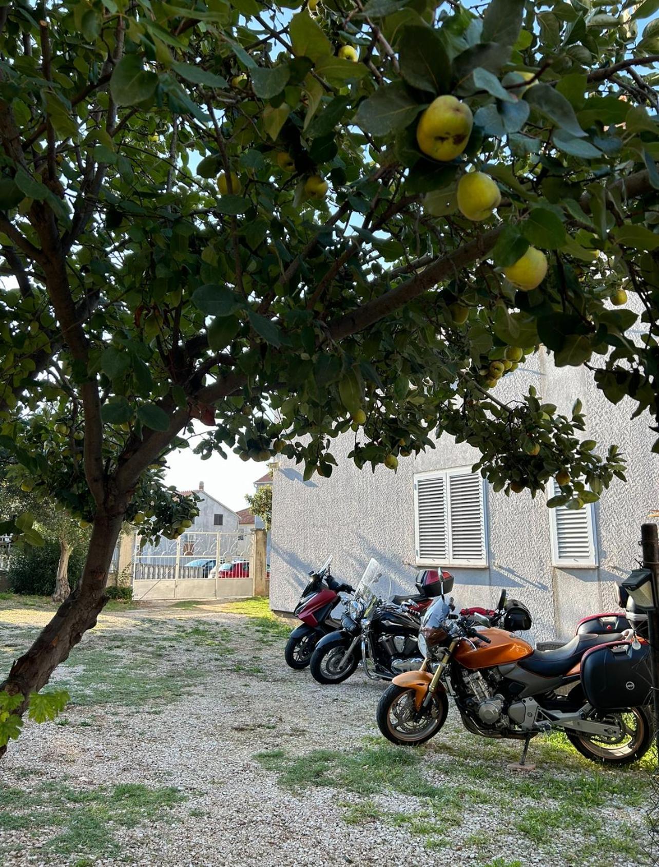Villa Jadran Zadar Free Parking Sea View Екстериор снимка